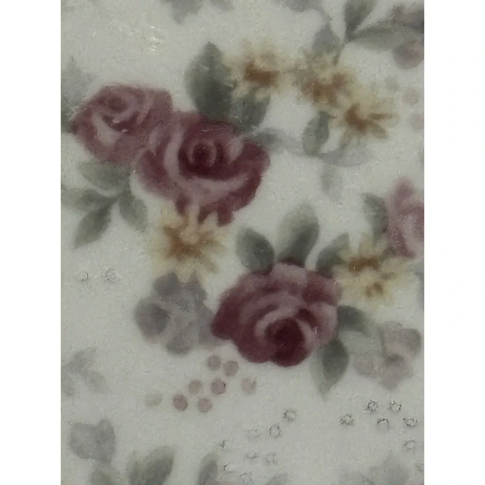 Jessica McClintock Westbury Court Clarise Dinner Plates Floral Plaid Set of 2